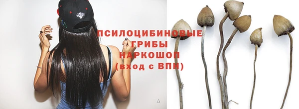 не бодяженный Зеленодольск