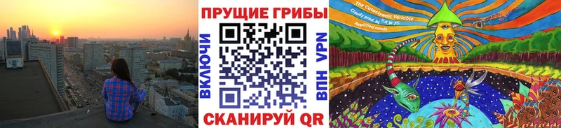 OMG как зайти  сайты даркнета наркотические препараты  Псилоцибиновые грибы Psilocybine cubensis  Балей 